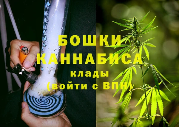бошки Богданович