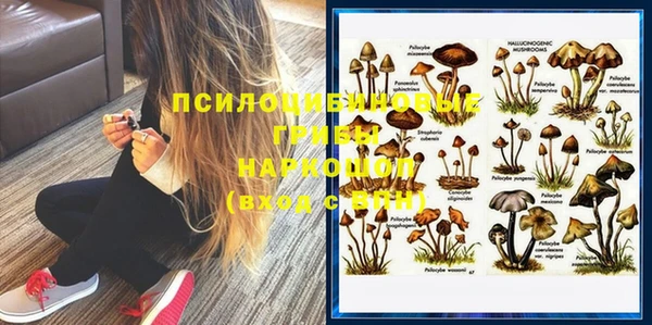 марки lsd Белокуриха