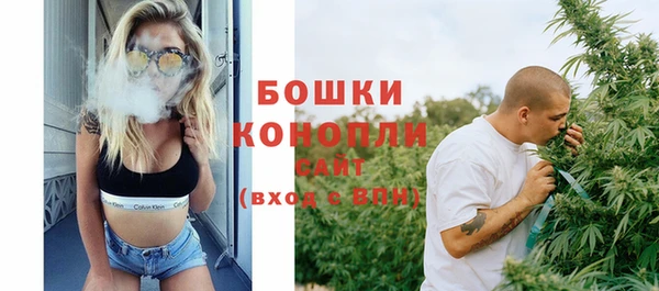 спиды Богородск