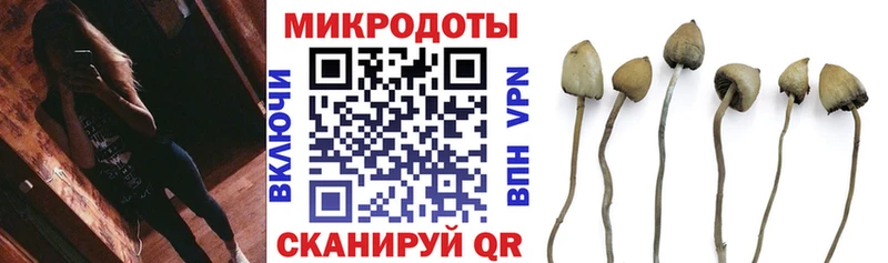 Галлюциногенные грибы мицелий  где найти   Болотное 
